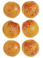Apricots